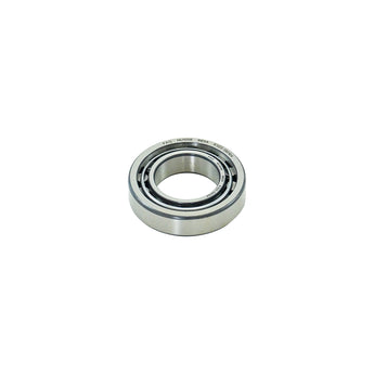 Roller bearing for vacuum pump